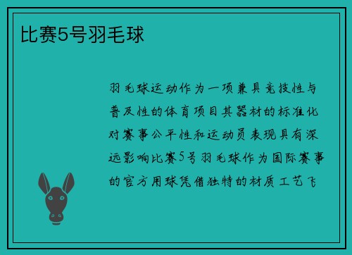 比赛5号羽毛球